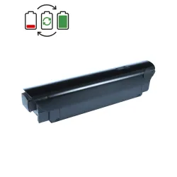 Regeneracja  TranzX / Winora BL20 36V